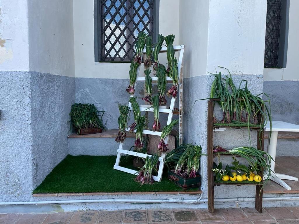 La Locanda Del Convento تروبيا المظهر الخارجي الصورة